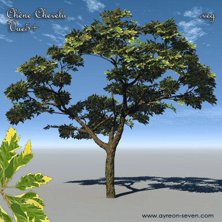 Chêne Chevelu plante gratuite .veg pour Vue e-on software